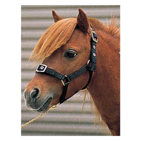 Romaブラス金具ミニチュア無口