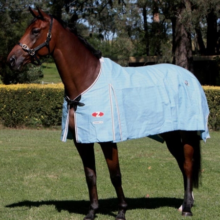 Zilcoハミルトン・ラグ