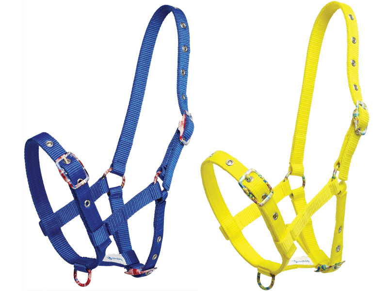 Gymkhanaカラフル仔馬無口