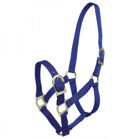 Zilcoポリプロピレン無口