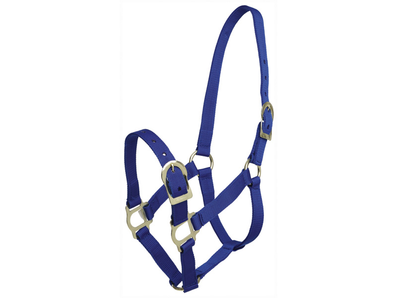 Zilcoポリプロピレン無口