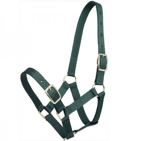 Gymkhana仔馬用無口