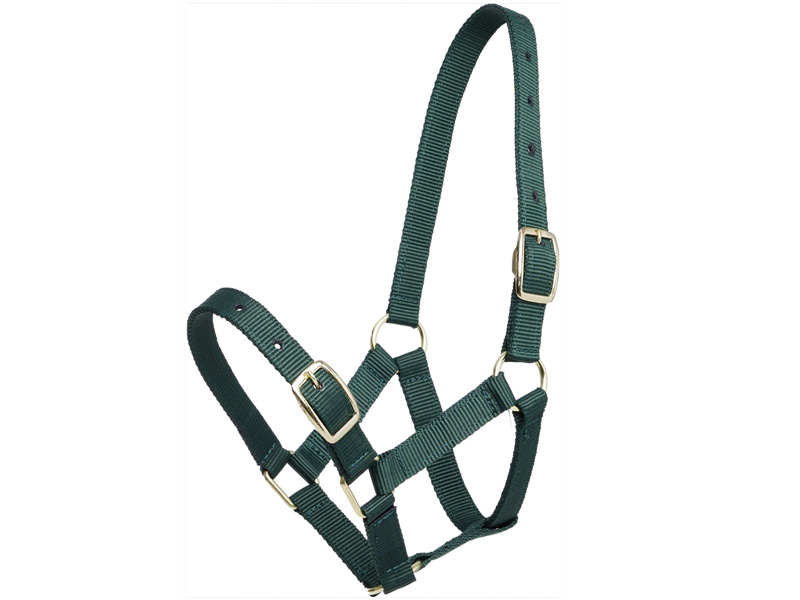 Gymkhana仔馬用無口