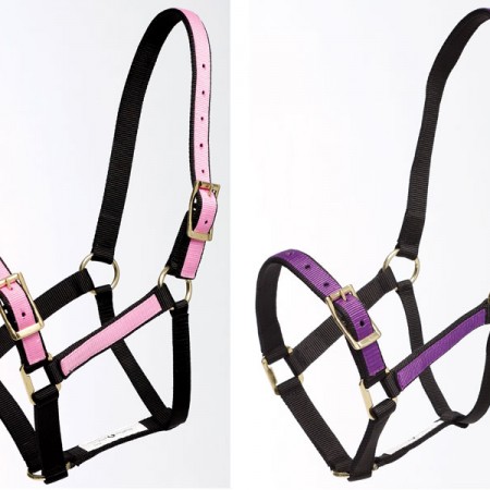 Zilcoパステル無口