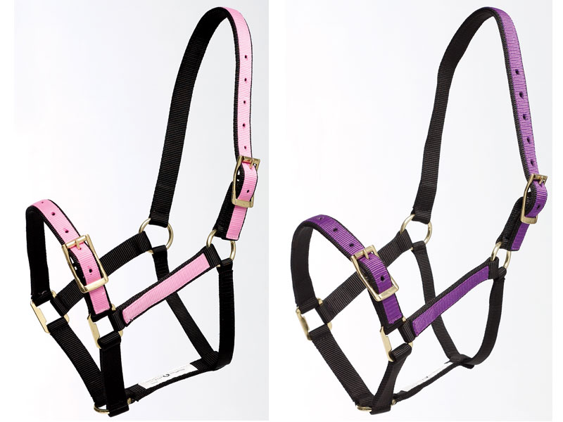 Zilcoパステル無口