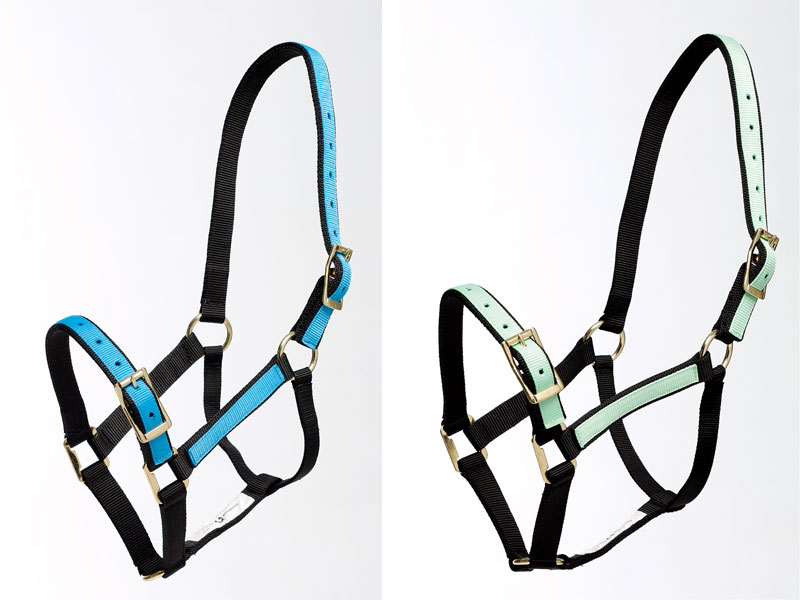 Zilcoパステル無口