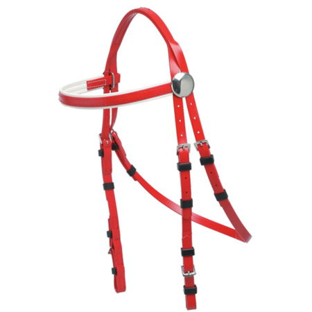 Zilcoロゼッタ入りレースブライドル天井部分