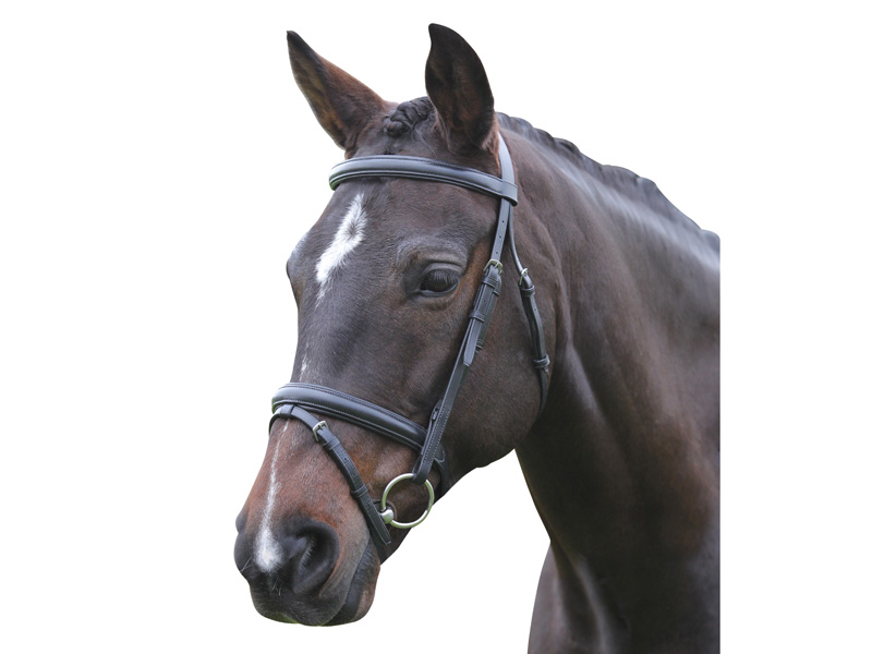 Kincadeコンビ鼻革頭絡