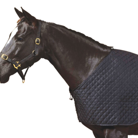 Romaキルティング・ラグビブ