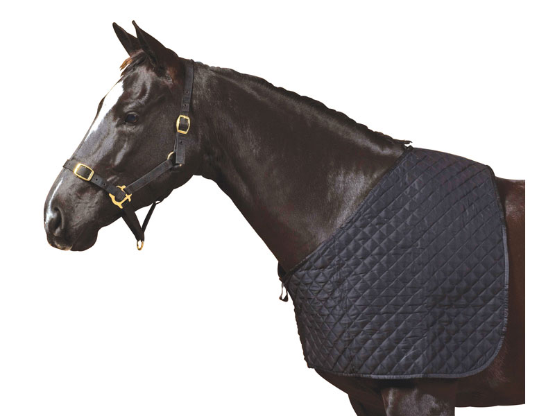 Romaキルティング・ラグビブ