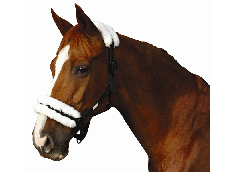 Romaシープスキン無口