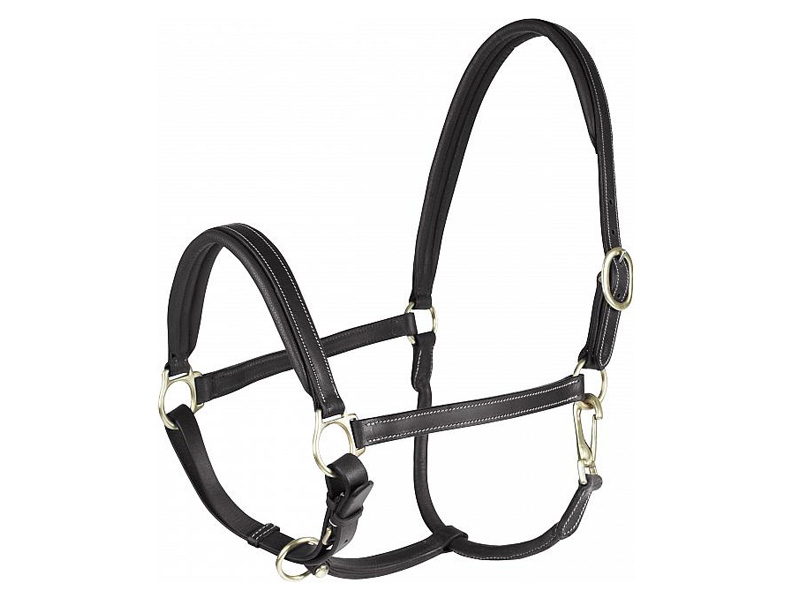 horzerラーゴ革無口