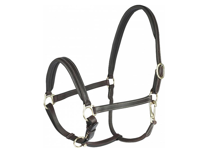 horzerラーゴ革無口