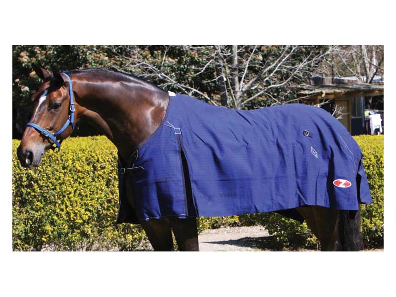 Zilcoブルーマウンテン・ラグ