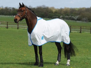 Kool Coatライト・ラグ