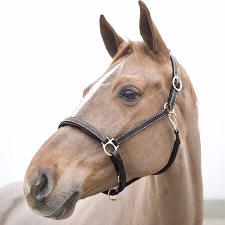 horzerラーゴ革無口