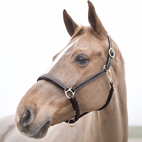 horzerラーゴ革無口