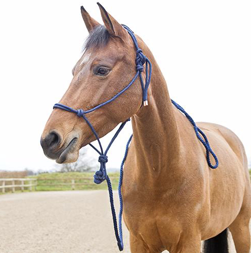 horzeキャスパー・ロープ無口セット