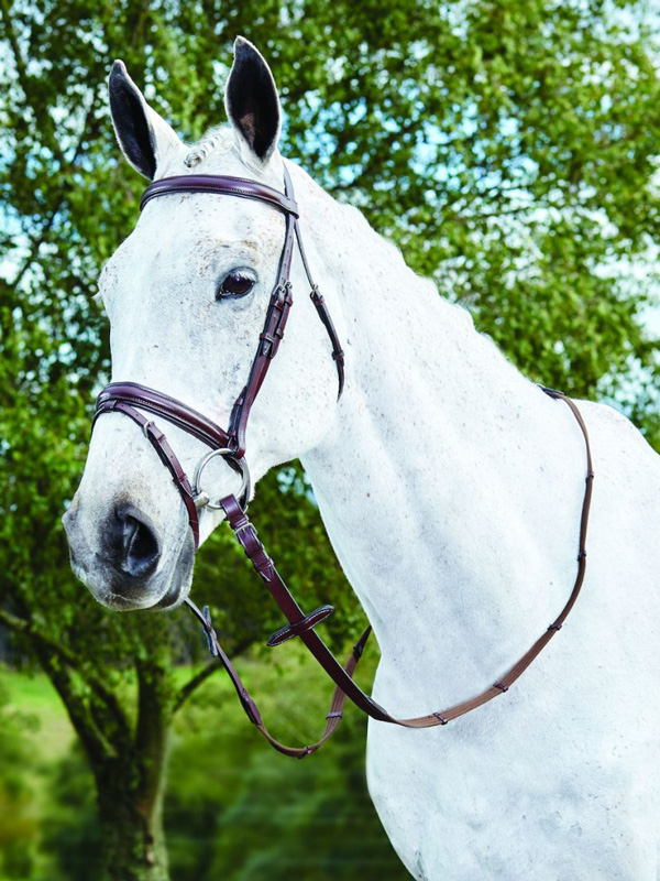 Kincadeコンビ鼻革頭絡