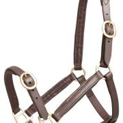 Aintree 仔馬用革無口 - 馬具・乗馬用品のサジタリアス