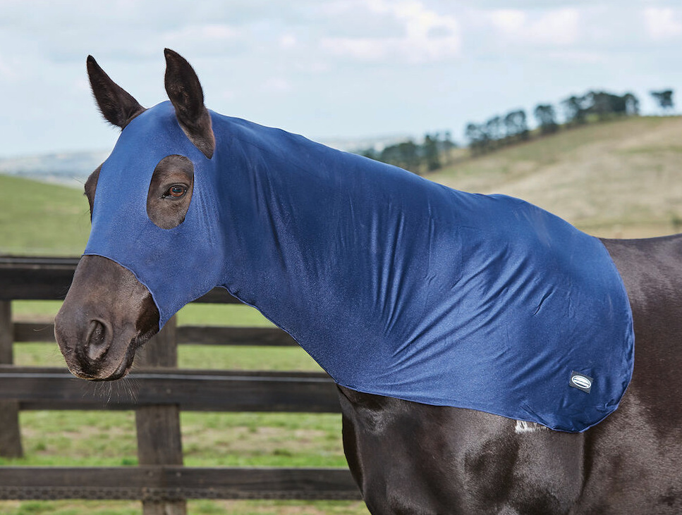 Weatherbeetaストレッチ・フード