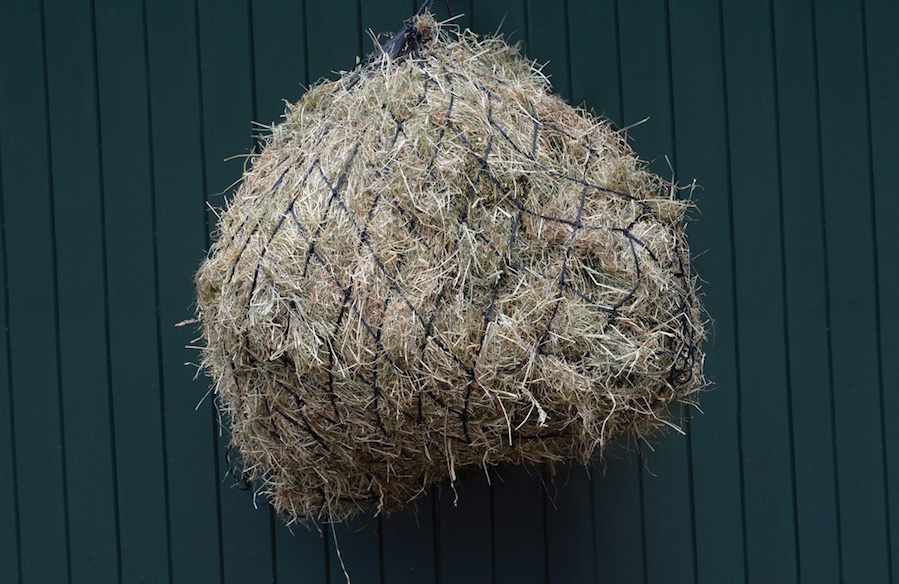 Kincadeヘイネット42”