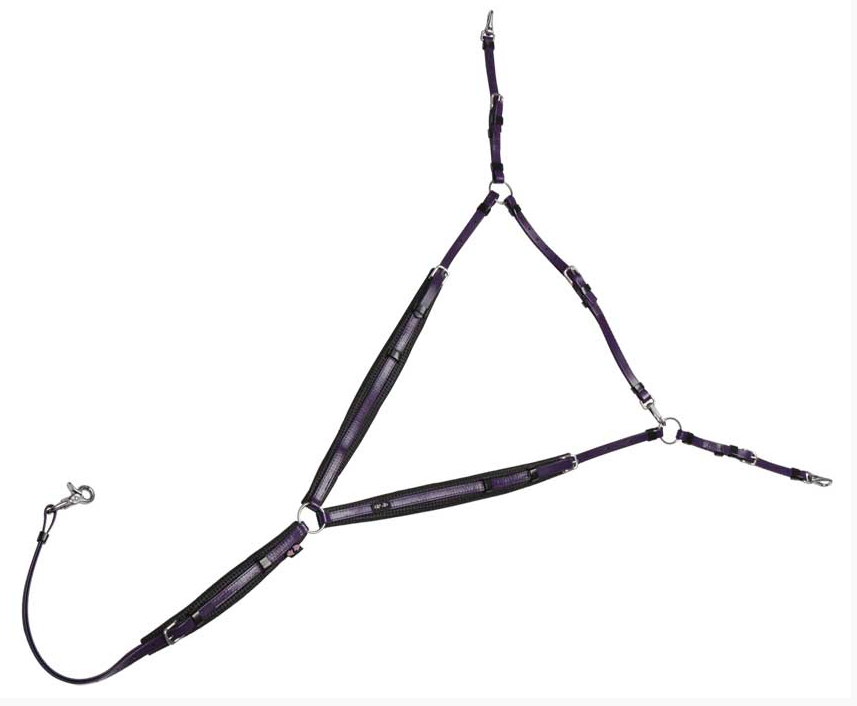 ZilcoDXエンデュランス胸ガイSS