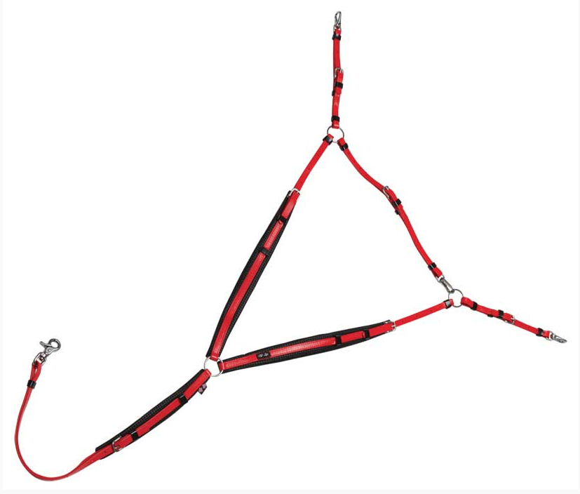 ZilcoDXエンデュランス胸ガイSS