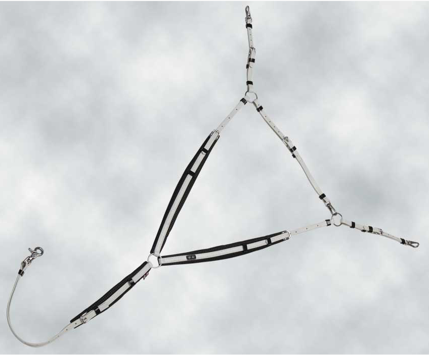 ZilcoDXエンデュランス胸ガイSS