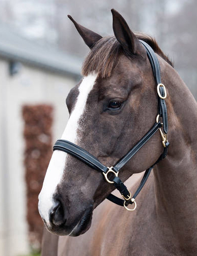 horzerラーゴ革無口