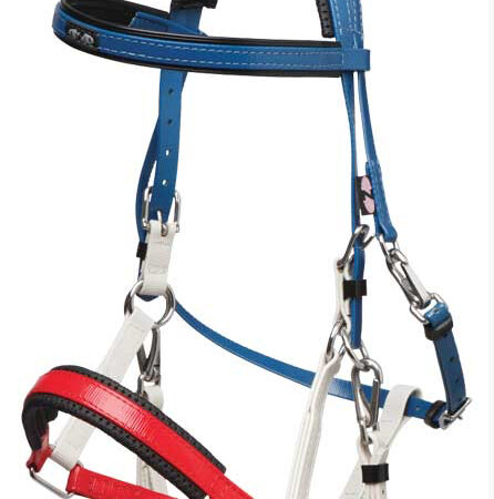 Zilcoパット付マラソン頭絡トライカラー