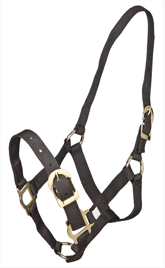 Zilcoポリプロピレン無口