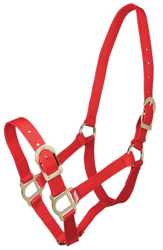 Zilcoポリプロピレン無口