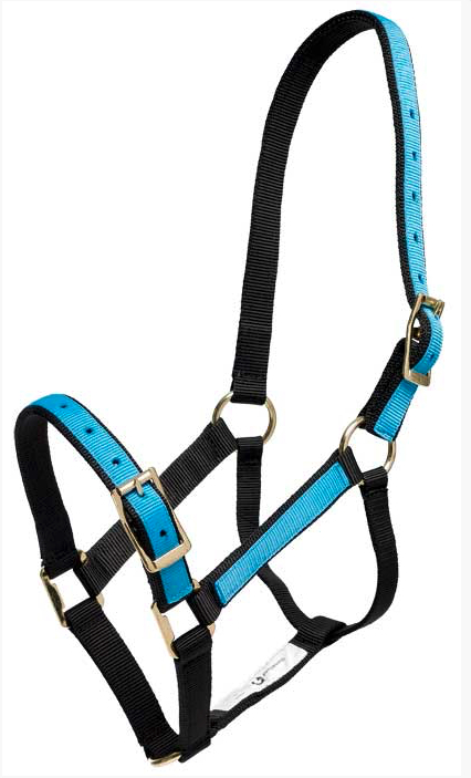 Zilcoパステル無口