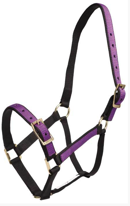 Zilcoパステル無口