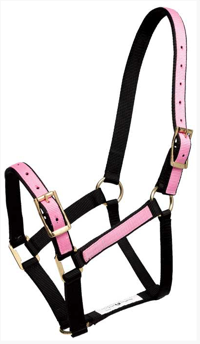 Zilcoパステル無口