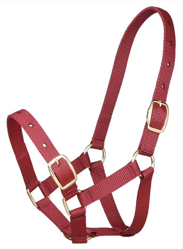 Gymkhana仔馬用無口