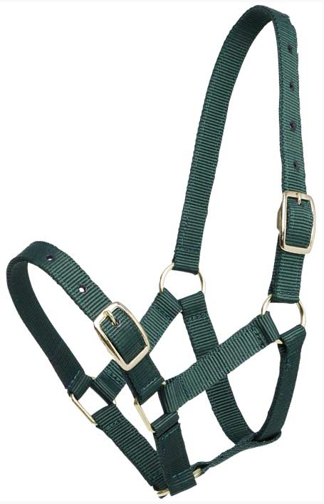 Gymkhana仔馬用無口