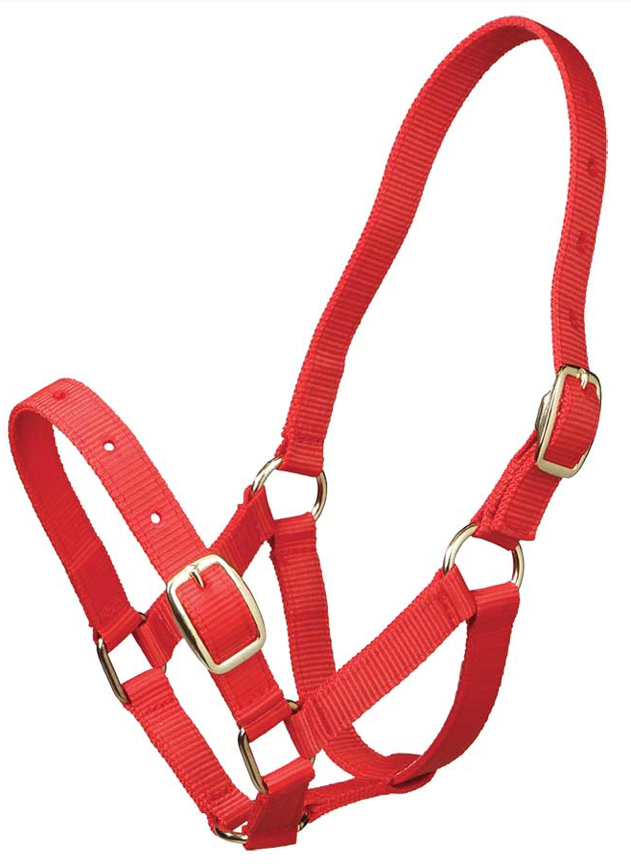 Gymkhana仔馬用無口