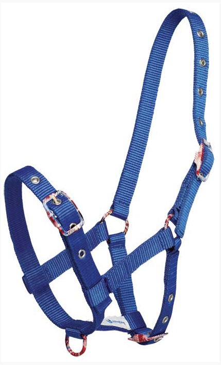 Gymkhanaカラフル仔馬用無口