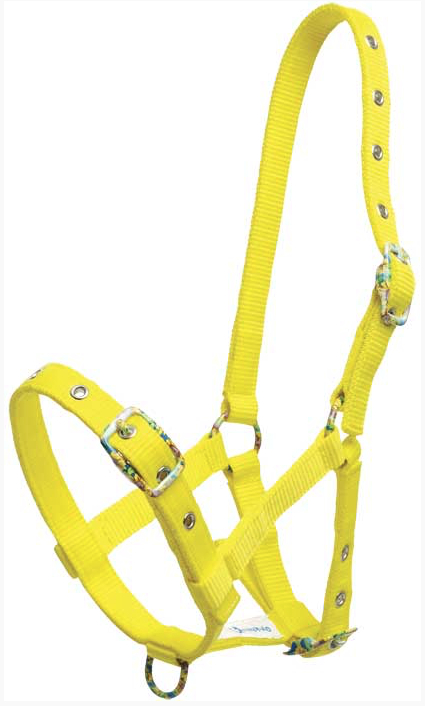 Gymkhanaカラフル仔馬用無口