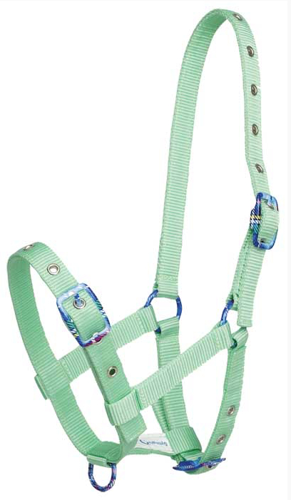 Gymkhanaカラフル仔馬用無口 - 画像 (2)