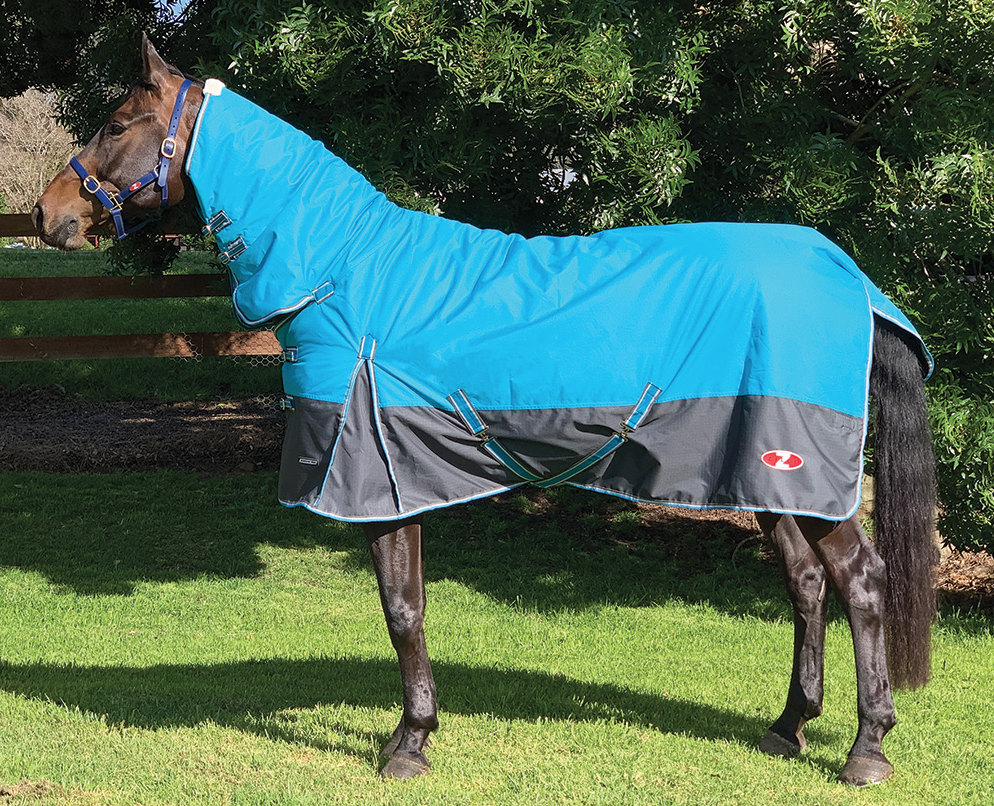 2022Zilcoエクスプローラー100コンボ