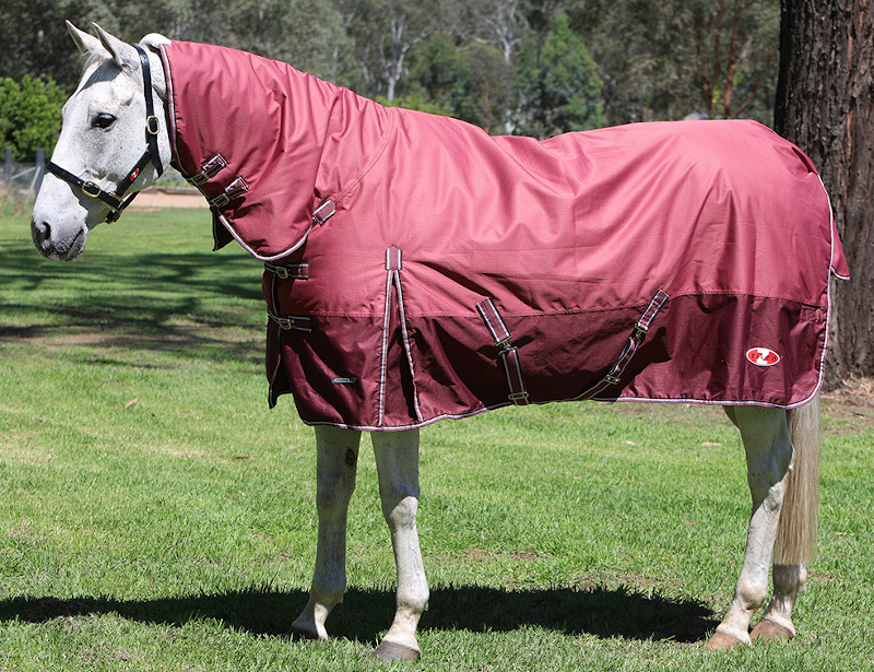 Zilcoエクスプローラー200コンボ