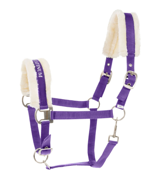 horzeクレッセンド無口pu1