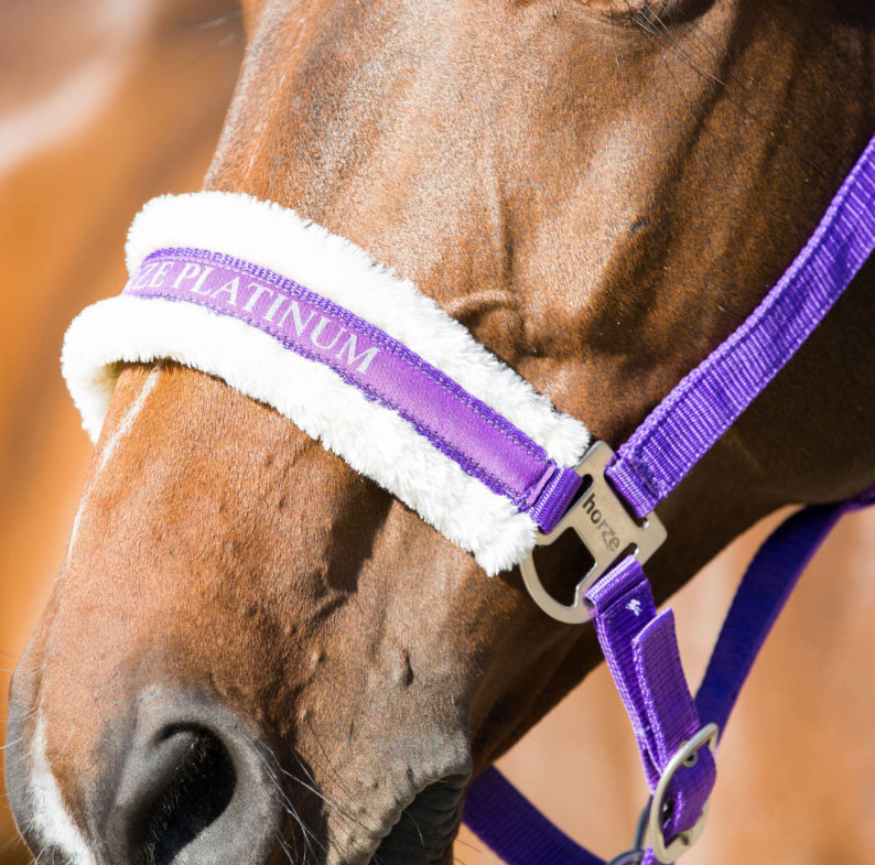 horzeクレッセンド無口pu3