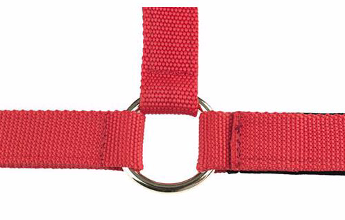 horzeオープンノーズ無口