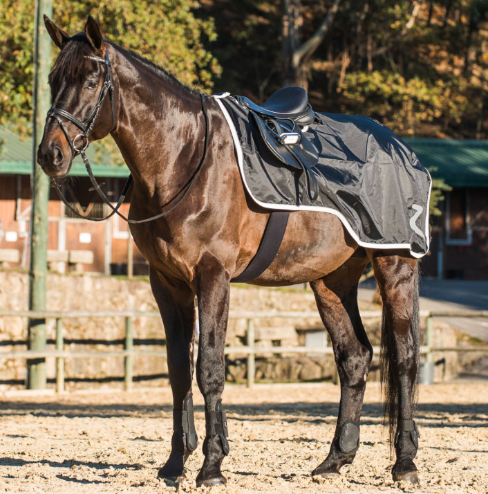 horzeウェザートレック・ライディングシート