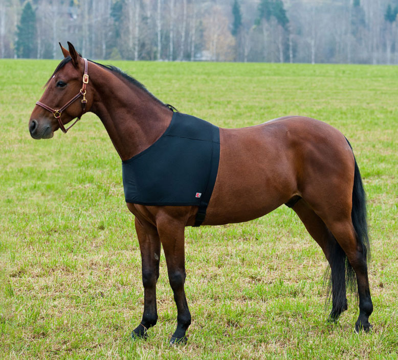 horzeショルダーラグ - 画像 (4)