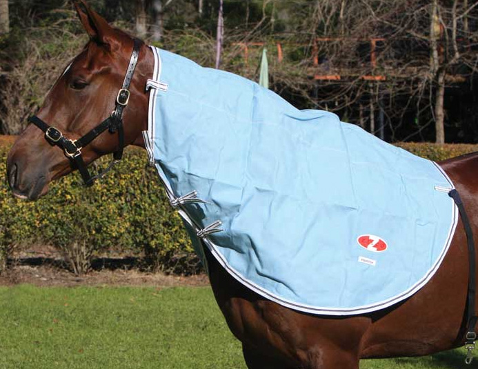 zilcoハミルトンネックラグ